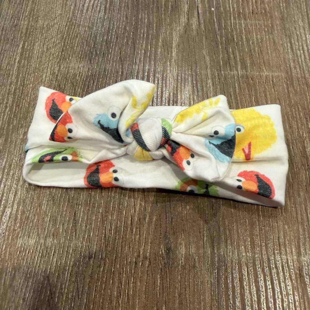 Copper Pearl Sesame Street Headband